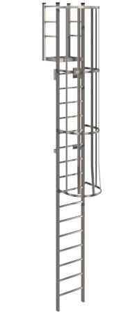 O'Keeffe's Aluminum 533A Cage Ladder