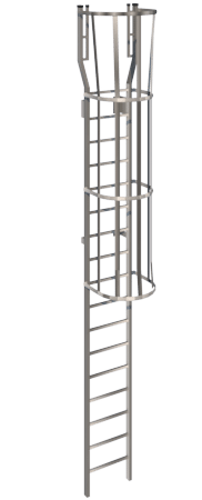 O'Keeffe's Aluminum 534 Cage Ladder